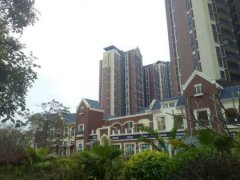 选择性价比最高的方案进行考