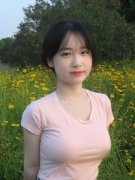 终究税务部分次要担任税收、社会安全费